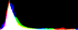 Histogram